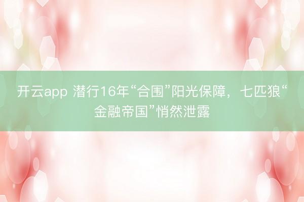 开云app 潜行16年“合围”阳光保障，七匹狼“金融帝国”悄然泄露