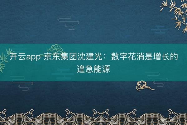 开云app 京东集团沈建光：数字花消是增长的遑急能源