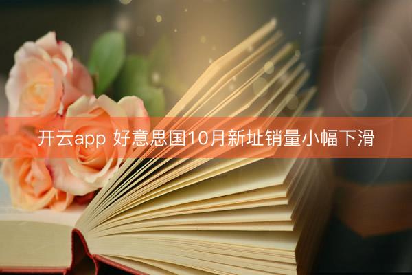 开云app 好意思国10月新址销量小幅下滑