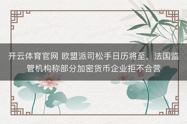 开云体育官网 欧盟派司松手日历将至,法国监管机构称部分加密货币企业拒不合营