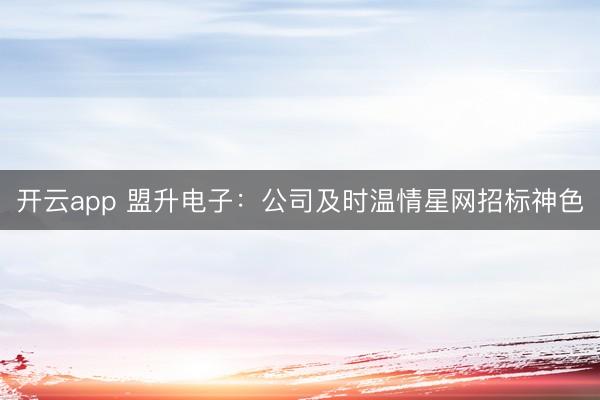 开云app 盟升电子：公司及时温情星网招标神色