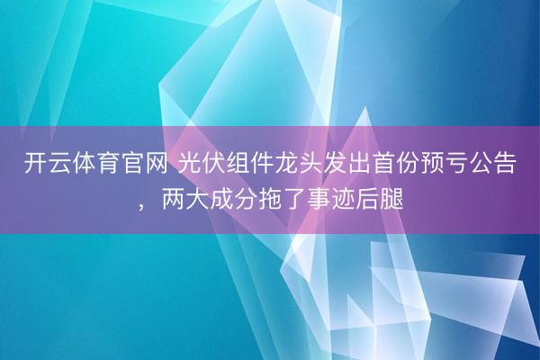 开云体育官网 光伏组件龙头发出首份预亏公告，两大成分拖了事迹后腿
