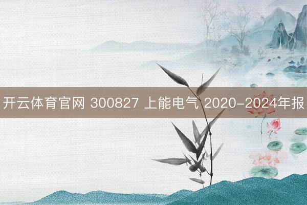 开云体育官网 300827 上能电气 2020-2024年报