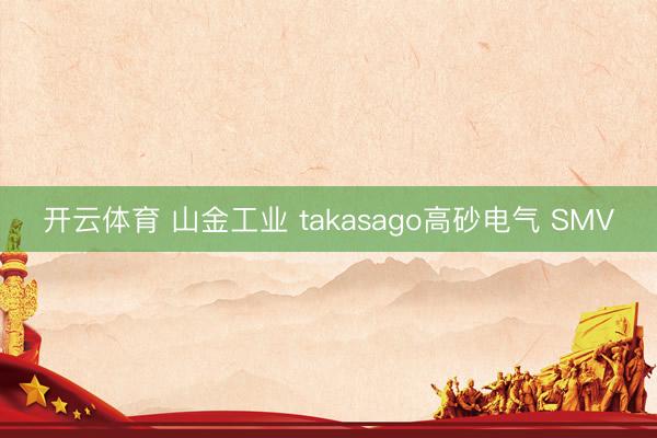 开云体育 山金工业 takasago高砂电气 SMV
