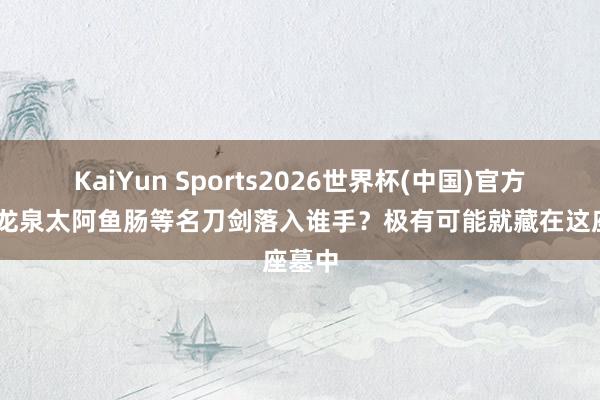 KaiYun Sports2026世界杯(中国)官方网站 龙泉太阿鱼肠等名刀剑落入谁手？极有可能就藏在这座墓中