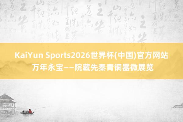 KaiYun Sports2026世界杯(中国)官方网站 万年永宝——院藏先秦青铜器微展览