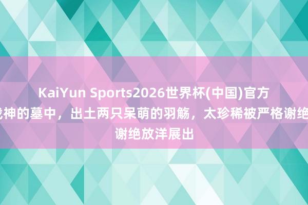 KaiYun Sports2026世界杯(中国)官方网站 女战神的墓中，出土两只呆萌的羽觞，太珍稀被严格谢绝放洋展出