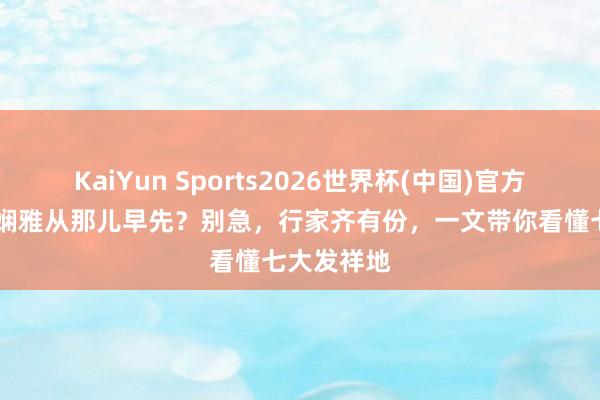 KaiYun Sports2026世界杯(中国)官方网站 华夏娴雅从那儿早先？别急，行家齐有份，一文带你看懂七大发祥地