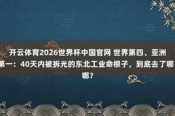 开云体育2026世界杯中国官网 世界第四、亚洲第一：40天内被拆光的东北工业命根子，到底去了哪？