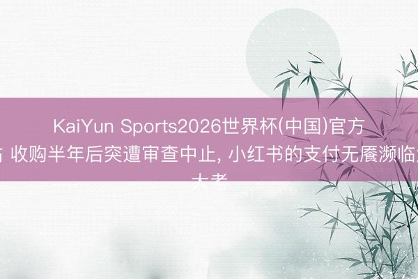 KaiYun Sports2026世界杯(中国)官方网站 收购半年后突遭审查中止， 小红书的支付无餍濒临大考