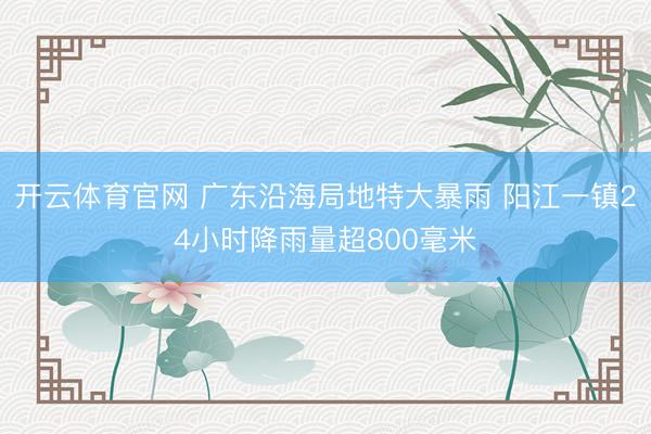 开云体育官网 广东沿海局地特大暴雨 阳江一镇24小时降雨量超800毫米