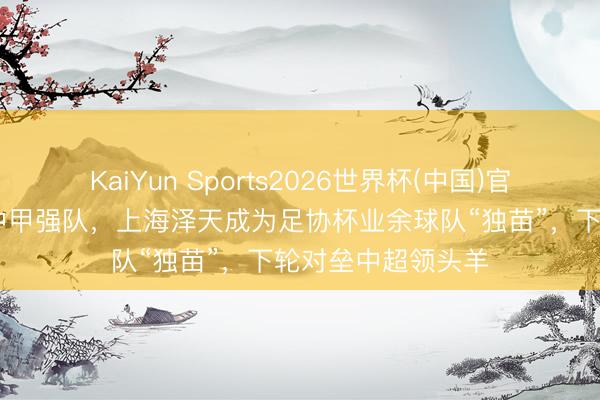 KaiYun Sports2026世界杯(中国)官方网站 爆冷打败中甲强队，上海泽天成为足协杯业余球队“独苗”，下轮对垒中超领头羊