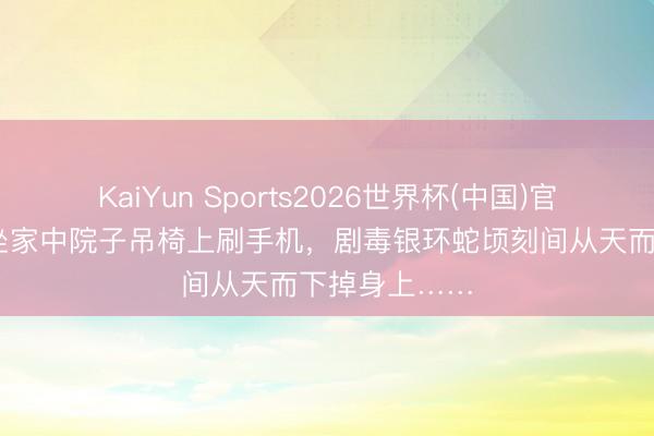 KaiYun Sports2026世界杯(中国)官方网站 须眉坐家中院子吊椅上刷手机，剧毒银环蛇顷刻间从天而下掉身上……