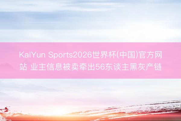 KaiYun Sports2026世界杯(中国)官方网站 业主信息被卖牵出56东谈主黑灰产链