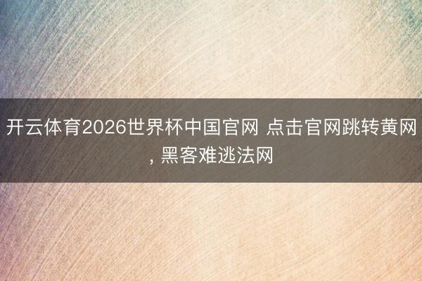 开云体育2026世界杯中国官网 点击官网跳转黄网, 黑客难逃法网
