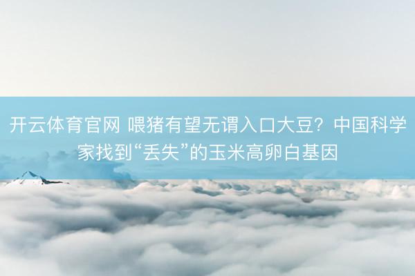 开云体育官网 喂猪有望无谓入口大豆？中国科学家找到“丢失”的玉米高卵白基因