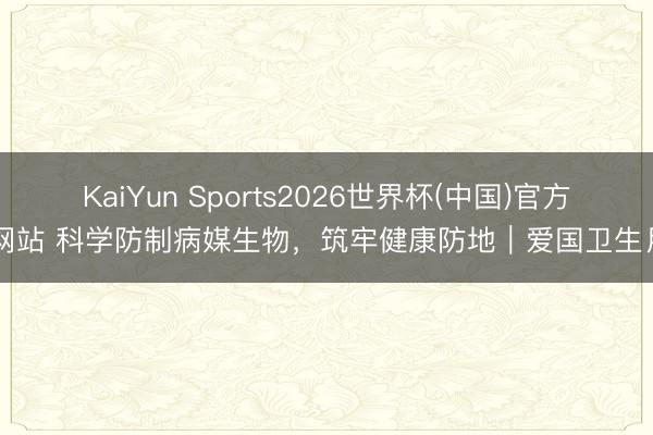 KaiYun Sports2026世界杯(中国)官方网站 科学防制病媒生物，筑牢健康防地｜爱国卫生月
