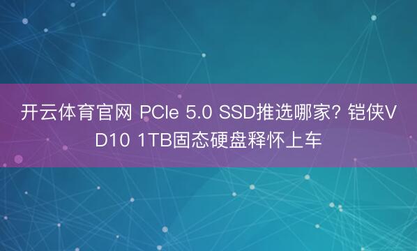 开云体育官网 PCIe 5.0 SSD推选哪家? 铠侠VD10 1TB固态硬盘释怀上车