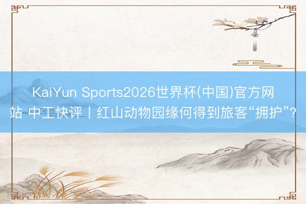 KaiYun Sports2026世界杯(中国)官方网站 中工快评丨红山动物园缘何得到旅客“拥护”？