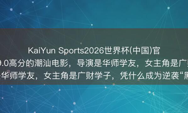 KaiYun Sports2026世界杯(中国)官方网站 超7万东说念主打出9.0高分的潮汕电影，导演是华师学友，女主角是广财学子，凭什么成为逆袭“黑马”