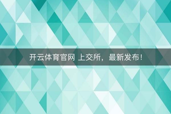 开云体育官网 上交所，最新发布！