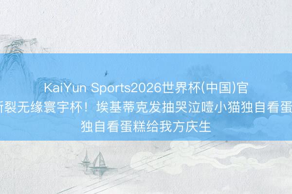 KaiYun Sports2026世界杯(中国)官方网站 跟腱断裂无缘寰宇杯！埃基蒂克发抽哭泣噎小猫独自看蛋糕给我方庆生